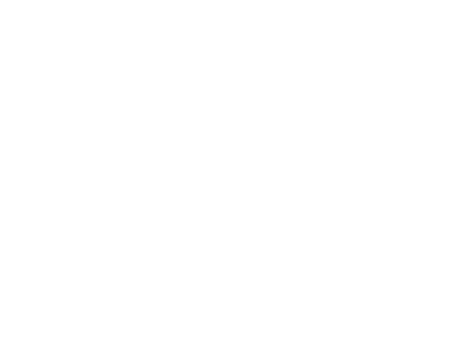 Raw digital digitalna agencija logo bijeli